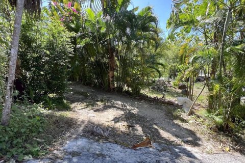 2497m² Land in Kamala, Thailand No. 96777 17