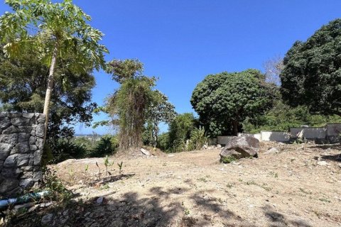 2497m² Land in Kamala, Thailand No. 96777 5