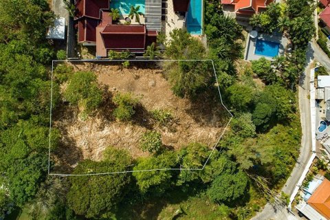 2497m² Land in Kamala, Thailand No. 96777 11