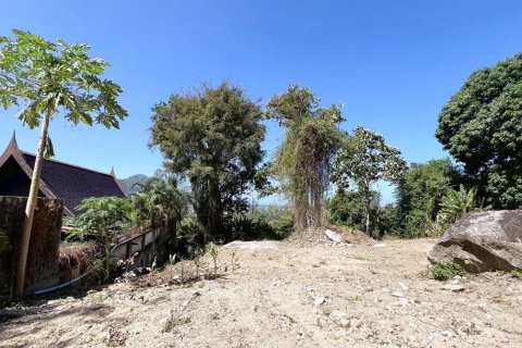 2497m² Land in Kamala, Thailand No. 96777 10