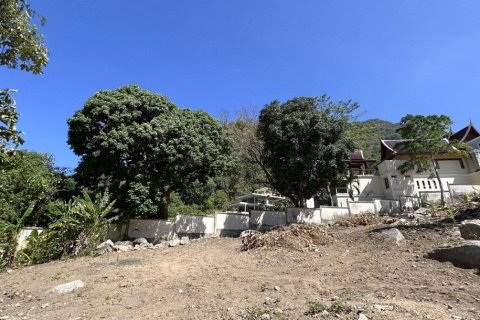 2497m² Land in Kamala, Thailand No. 96777 6