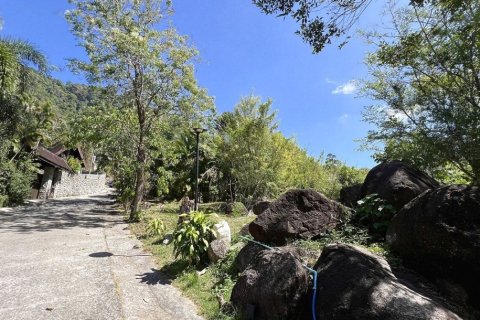 2497m² Land in Kamala, Thailand No. 96777 15