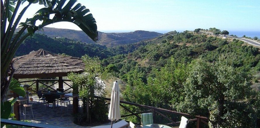 Недвижимость с 4 спальнями в Cat Trinh, Вьетнам №25229