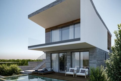 3 chambres Villa à Paphos, Cyprus No. 106223