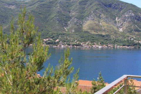 2 bedrooms Apartment in Kotor, Montenegro No. 66844 4