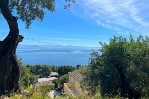 Вилла с 1 спальней в Керкира, Греция №65155 5