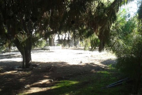 Land in Zakynthos, Greece No. 28068 8