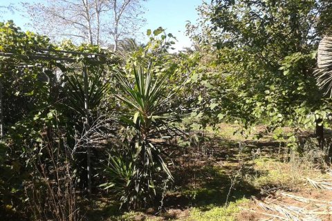 Land in Zakynthos, Greece No. 28068 13