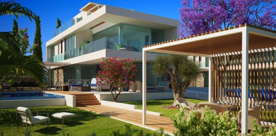 4 bedrooms Villa in Kouklia, Cyprus No. 36903