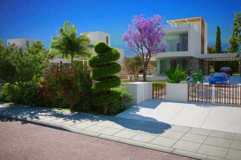 4 bedrooms Villa in Kouklia, Cyprus No. 36903 6