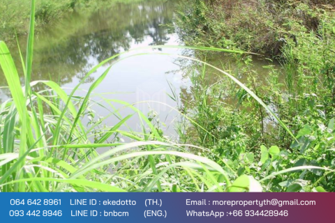 Land in Chiang Mai, Thailand No. 97908 13