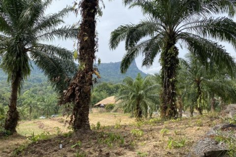 Land in Ao Nang, Thailand No. 97558 14