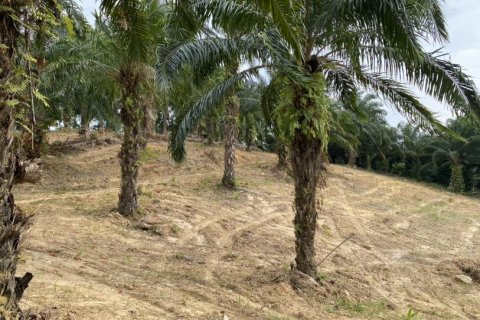 Land in Ao Nang, Thailand No. 97558 22