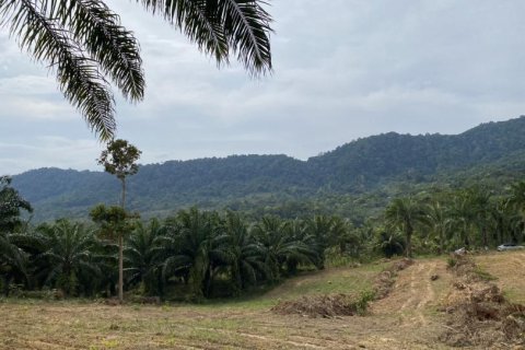 Land in Ao Nang, Thailand No. 97558 11