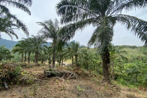 Land in Ao Nang, Thailand No. 97558 17