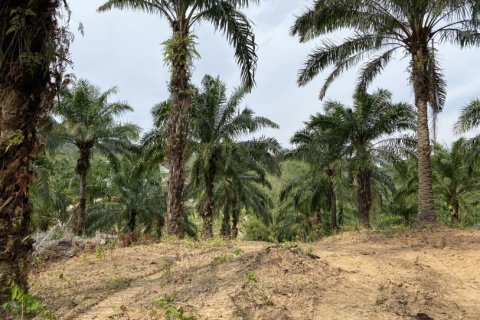 Land in Ao Nang, Thailand No. 97558 15