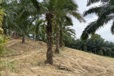 Land in Ao Nang, Thailand No. 97558 19