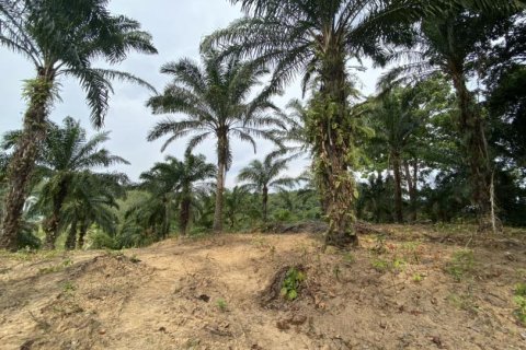 Land in Ao Nang, Thailand No. 97558 16
