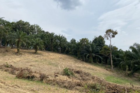 Land in Ao Nang, Thailand No. 97558 9