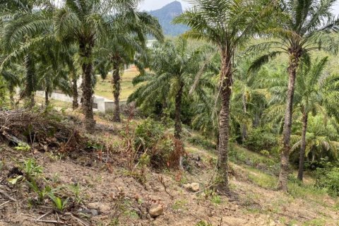 Land in Ao Nang, Thailand No. 97558 18