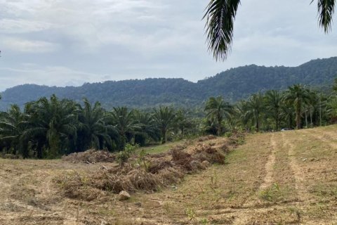 Land in Ao Nang, Thailand No. 97558 10