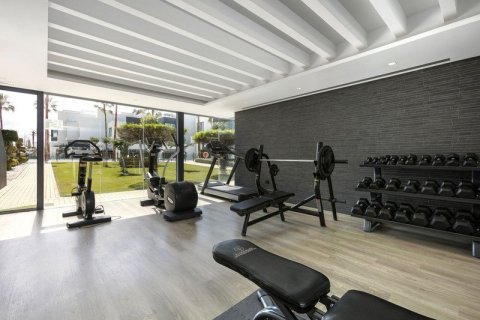 4 bedrooms Office in Dinh An, Vietnam No. 27628 23