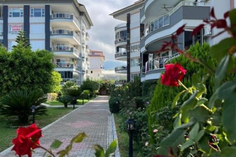 3 rooms Apartment in Tri Phuong, Vietnam No. 22202 3