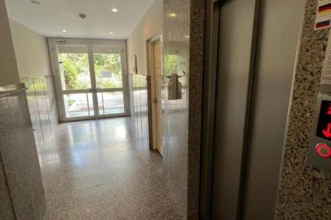 3 rooms Apartment in Tri Phuong, Vietnam No. 22202 12