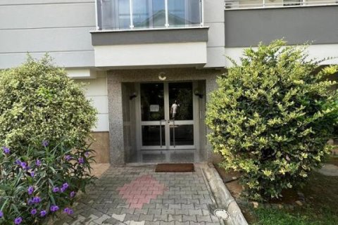 3 rooms Apartment in Tri Phuong, Vietnam No. 22202 9