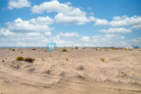 1551.1m² Land in Darna, Vietnam No. 95564 5