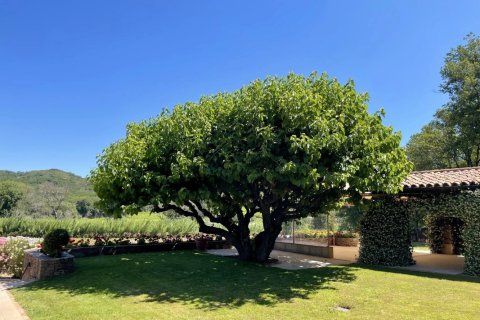 380m² House en Grimaud, France No. 68906 1