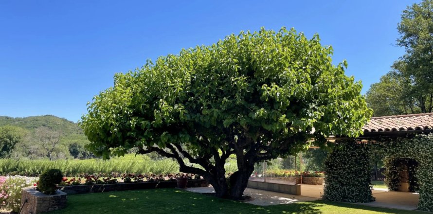 Apartamento tipo estudio Estudio en Grimaud, France No. 68906