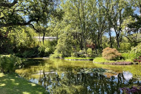 380m² House en Grimaud, France No. 68906 6