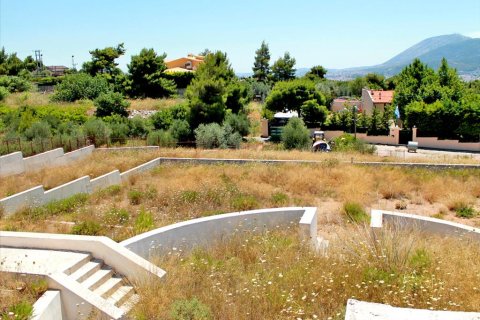 330m² Villa in Nea Penteli, Greece No. 59538 10