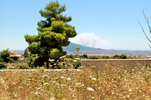 330m² Villa in Nea Penteli, Greece No. 59538 11