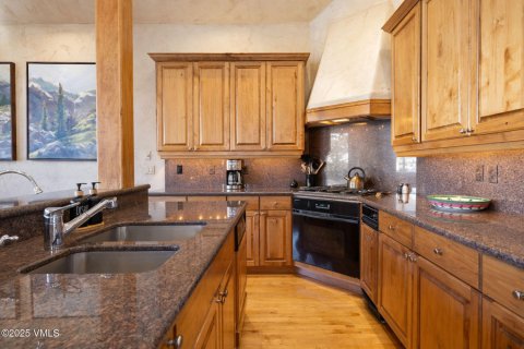 4 bedrooms Townhouse in Beaver Creek, USA No. 81936 18