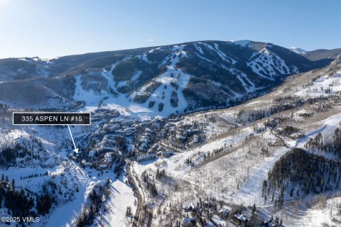 4 bedrooms Townhouse in Beaver Creek, USA No. 81936 4