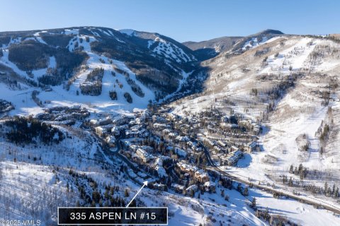 4 bedrooms Townhouse in Beaver Creek, USA No. 81936 3