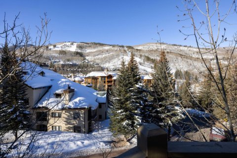 4 bedrooms Townhouse in Beaver Creek, USA No. 81936 24