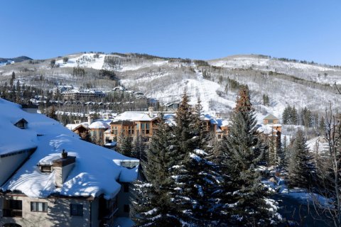 4 bedrooms Townhouse in Beaver Creek, USA No. 81936 7