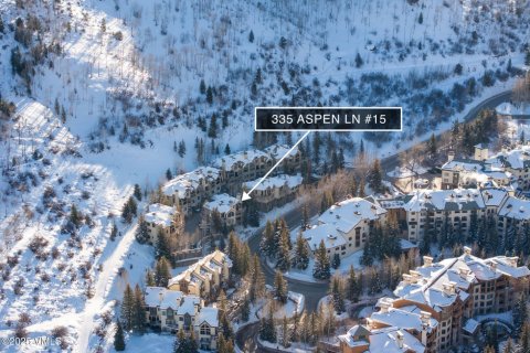 4 bedrooms Townhouse in Beaver Creek, USA No. 81936 5