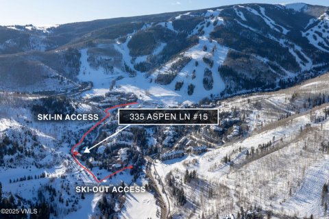 4 bedrooms Townhouse in Beaver Creek, USA No. 81936 6