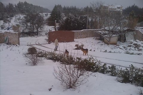 6 bedrooms House in Marathon, Greece No. 57683 6