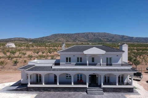 4 chambres Villa à Pinoso, Spain No. 128216
