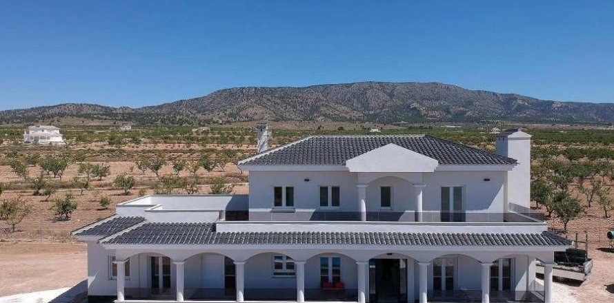 4 chambres Villa à Pinoso, Spain No. 128216