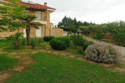 Дом с 6 спальнями в Термаикос, Греция №107839 9