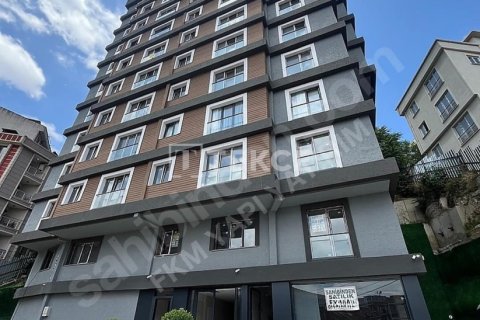 Квартира с 2 спальнями в Стамбул, Турция №11415