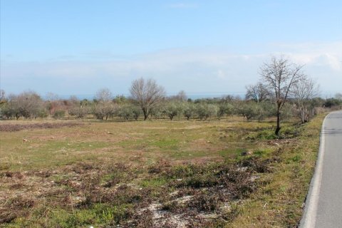 4151m² Land in Litochoro, Greece No. 123875 3