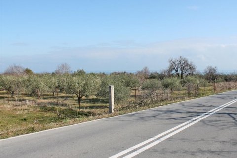 4151m² Land in Litochoro, Greece No. 123875
