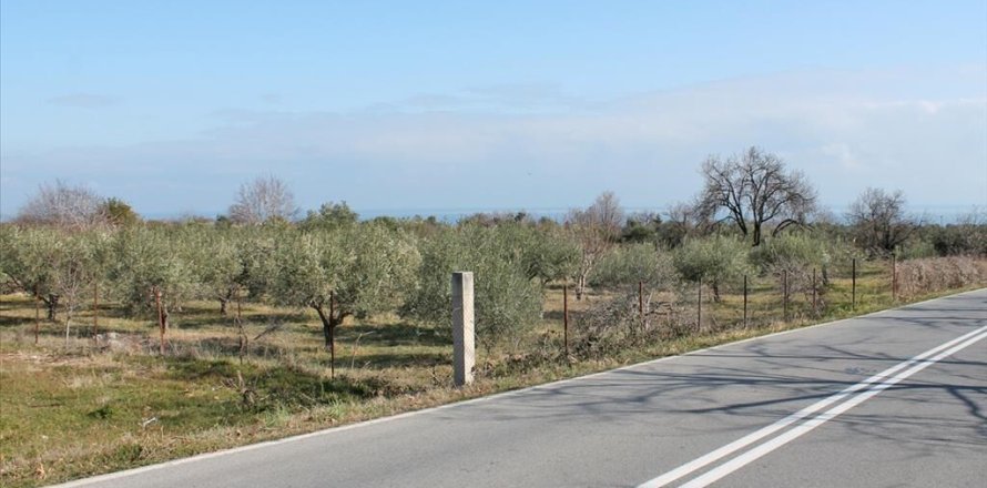 4151m² Land in Litochoro, Greece No. 123875